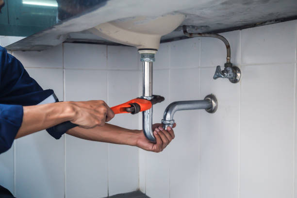 Best Toilet Repair Services  in Randolph, NE