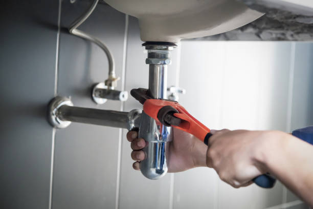 Best Plumbing Repair Near Me  in Randolph, NE