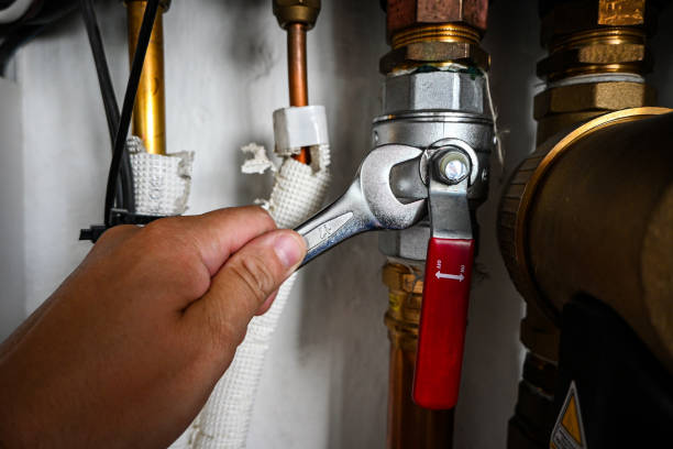Best Residential Plumbing Services  in Randolph, NE